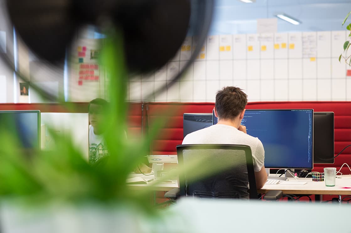 Blick hinter einer Pflanze her auf einen unserer Entwickler+innen im Bielefelder Büro, der an seinen Bildschirmen sitzt. Er ist von hinten zu sehen. u+i interact